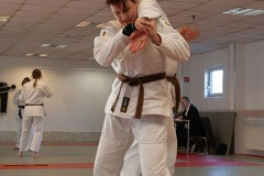 IMG_3328