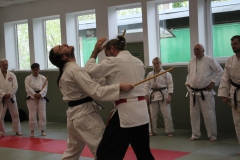 20260425-Ju-Jutsu-HanseSeminar2026_SVPHH_08