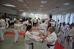 20260425-Ju-Jutsu-HanseSeminar2026_SVPHH_09