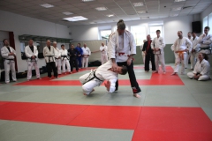 20260425-Ju-Jutsu-HanseSeminar2026_SVPHH_11