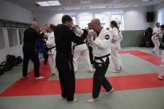 20260425-Ju-Jutsu-HanseSeminar2026_SVPHH_14
