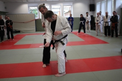 20260425-Ju-Jutsu-HanseSeminar2026_SVPHH_15