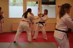 20260425-Ju-Jutsu-HanseSeminar2026_SVPHH_33