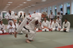 Ju-Jutsu-Megalehrgang-2019-17