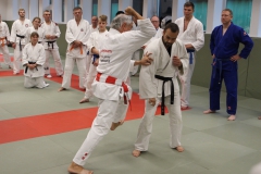 Ju-Jutsu-Megalehrgang-2019-24
