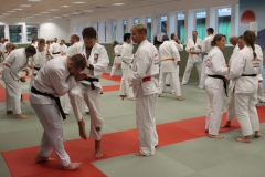Ju-Jutsu-Megalehrgang-2019-9
